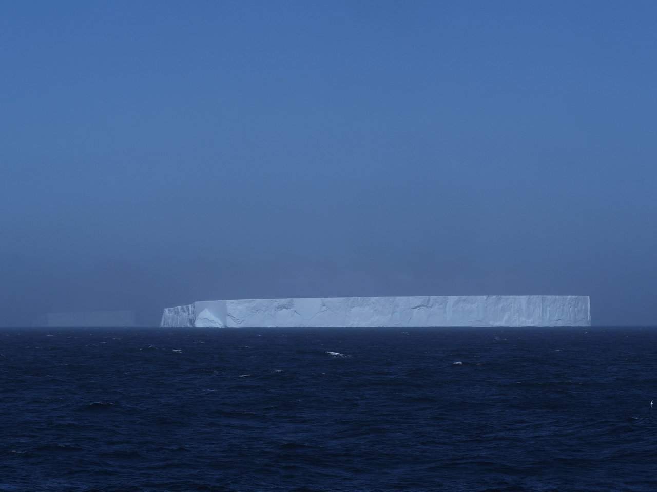 Antarctic
