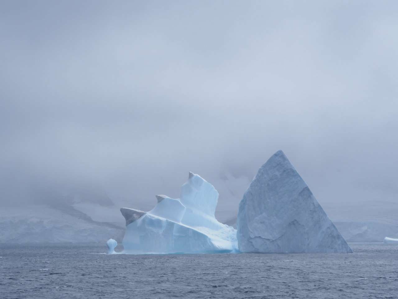 Antarctic