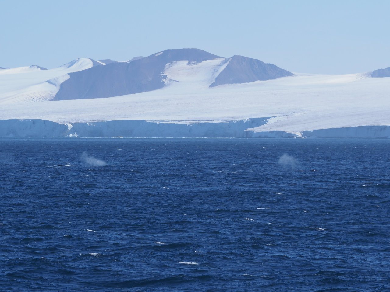 Antarctic
