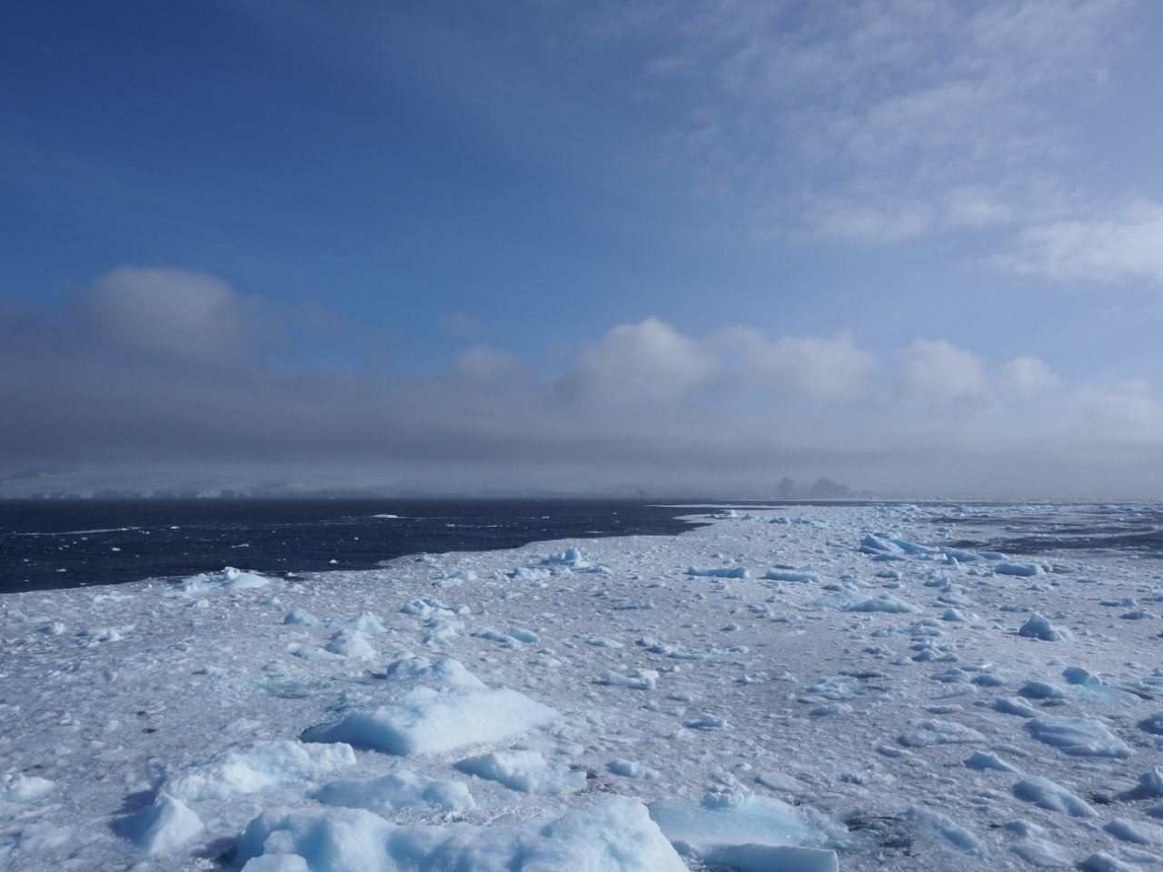 Antarctic