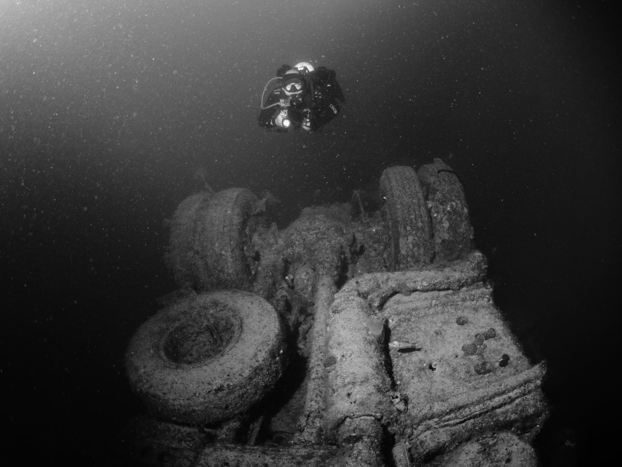 Zenobia