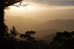 Trodos