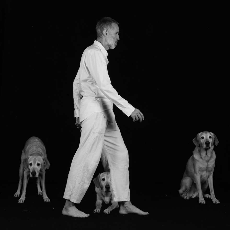 vor die Hunde gehen