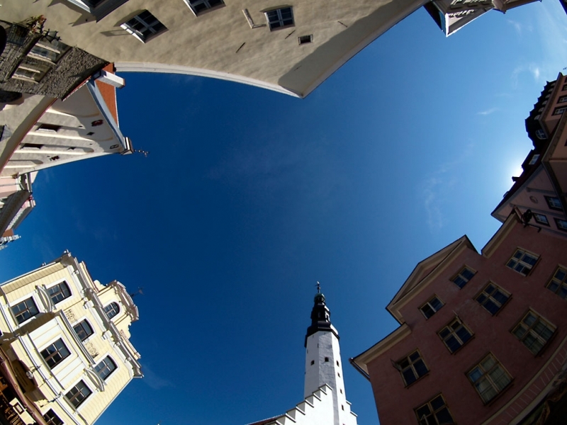 Tallin