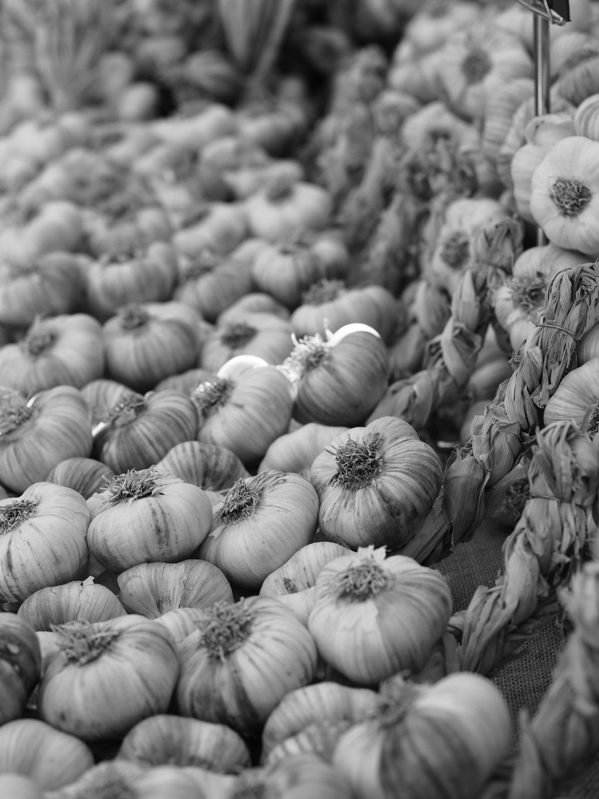 St. Remy de Provence