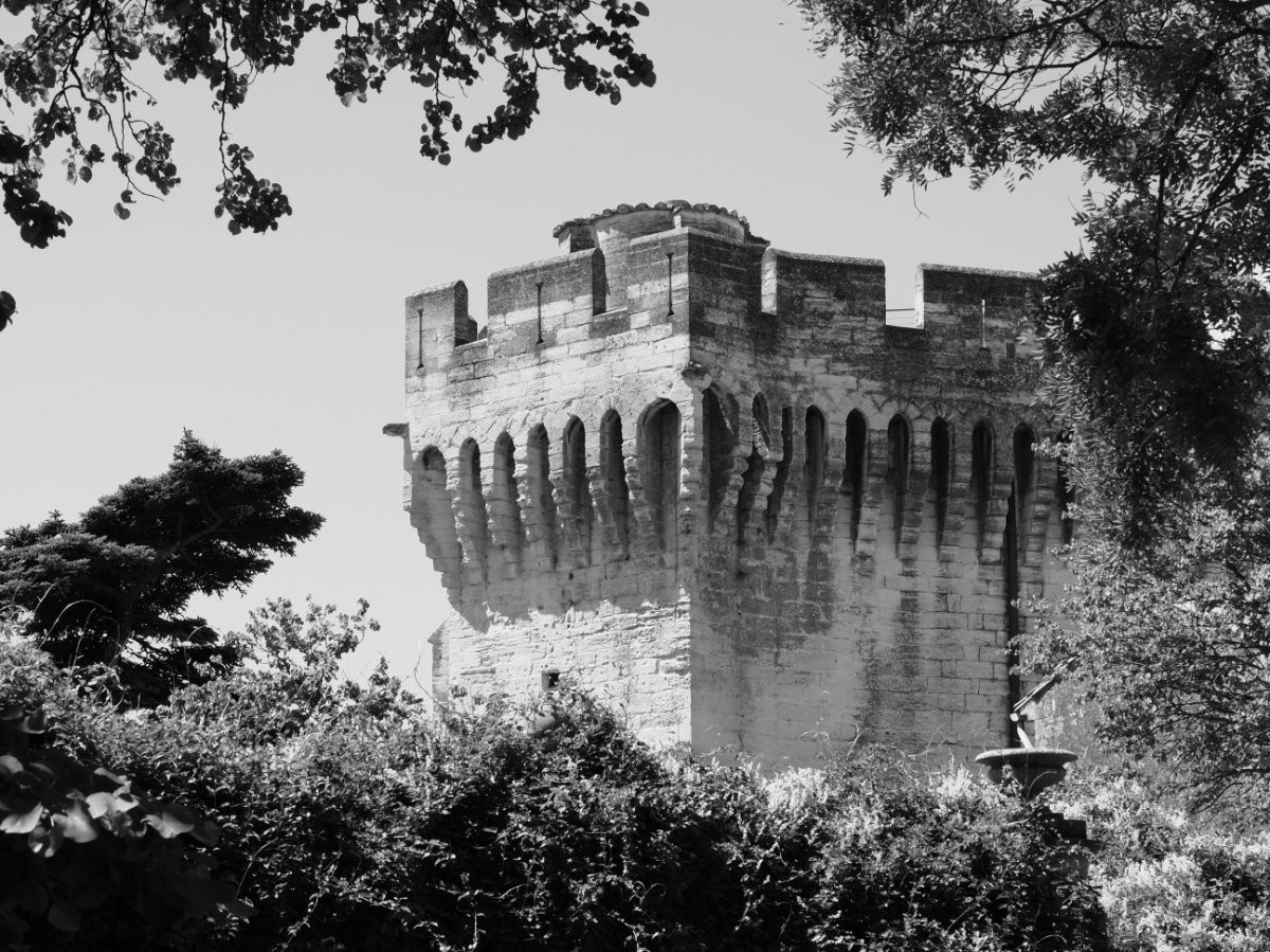 Avignon