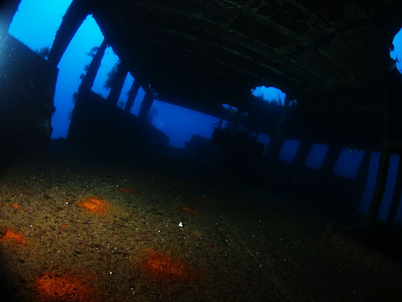 MV Cominoland