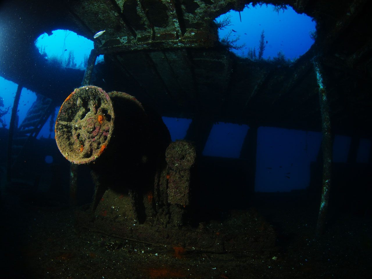 MV Cominoland