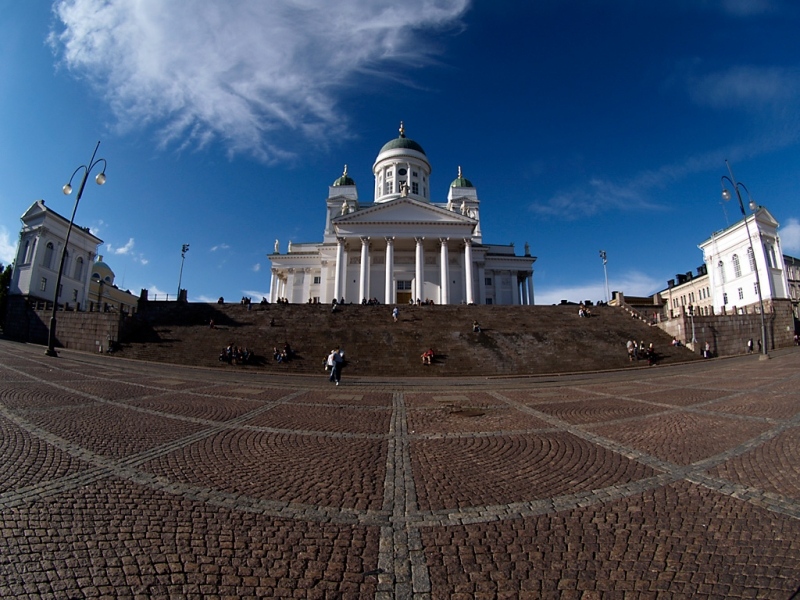 _8150041.jpg