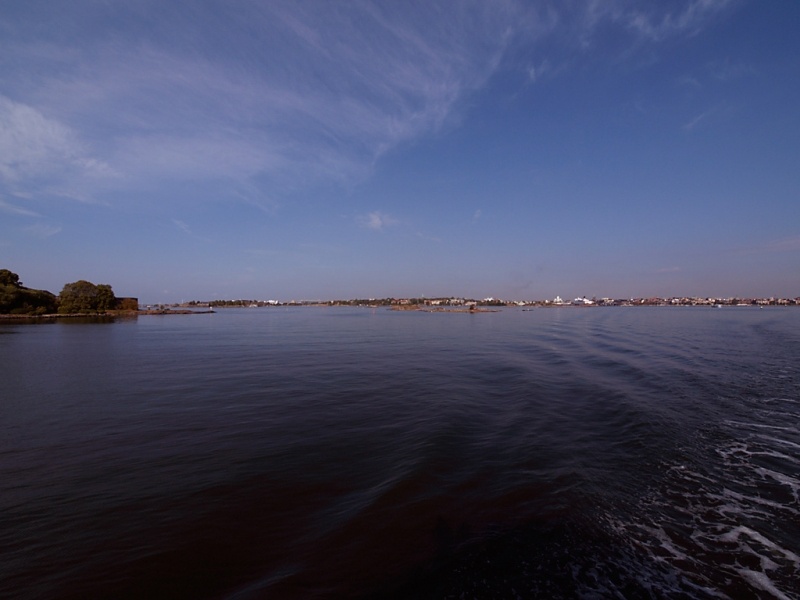 _8160064.jpg
