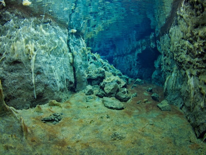 P7123230.jpg