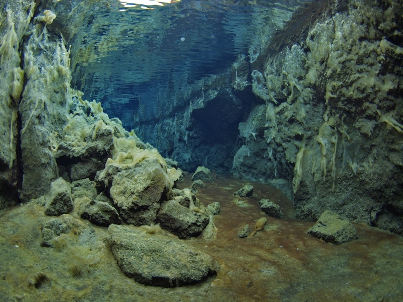 P7123232.jpg