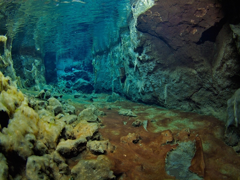 P7123234.jpg