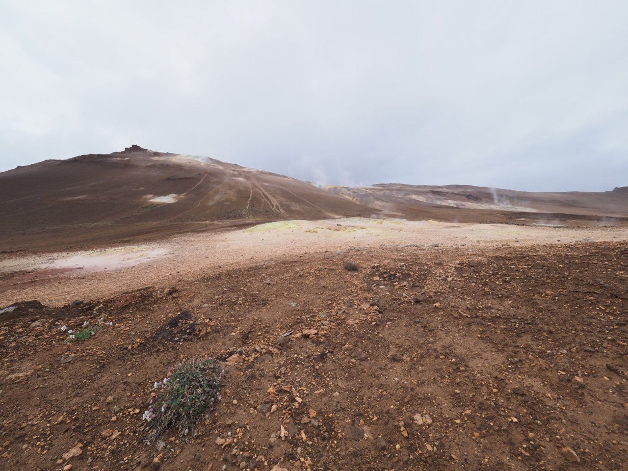 Iceland