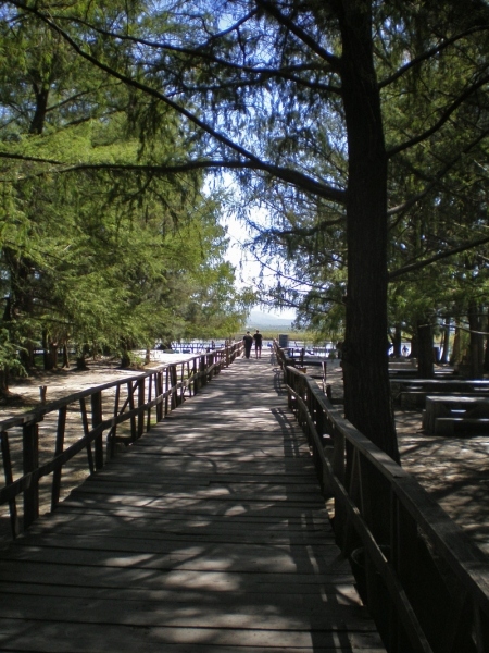 PA250059.jpg