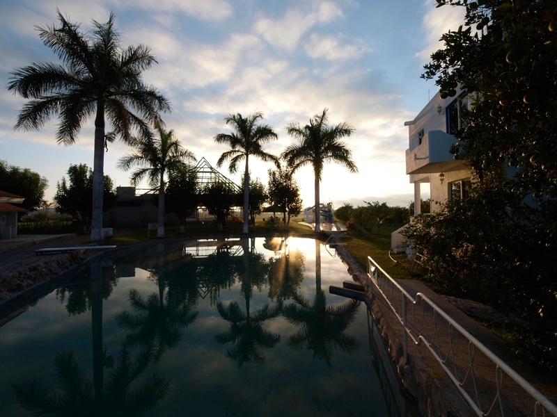 PA253226.jpg