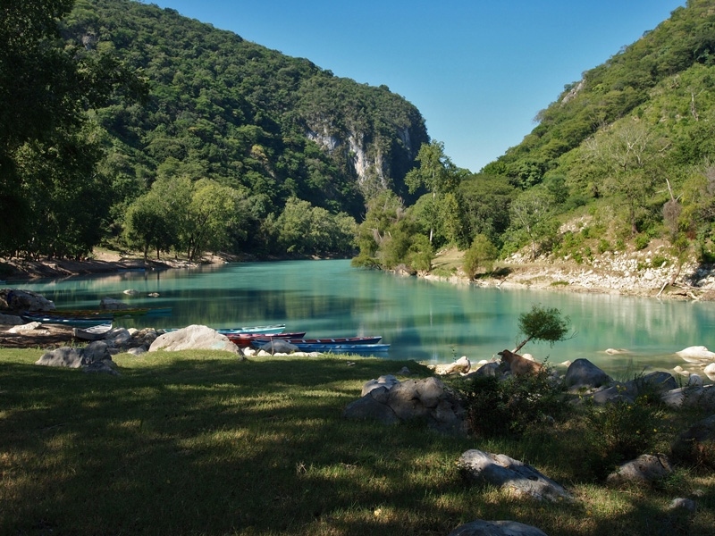 PA262445.jpg