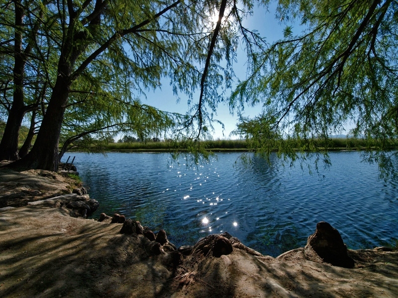 PA273240.jpg