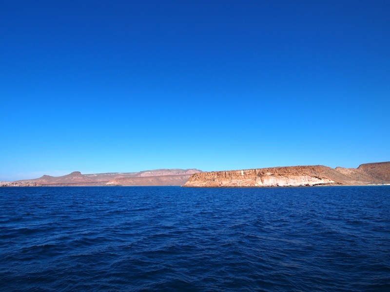 PA292618.jpg