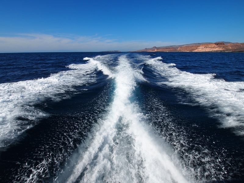 PA292673.jpg