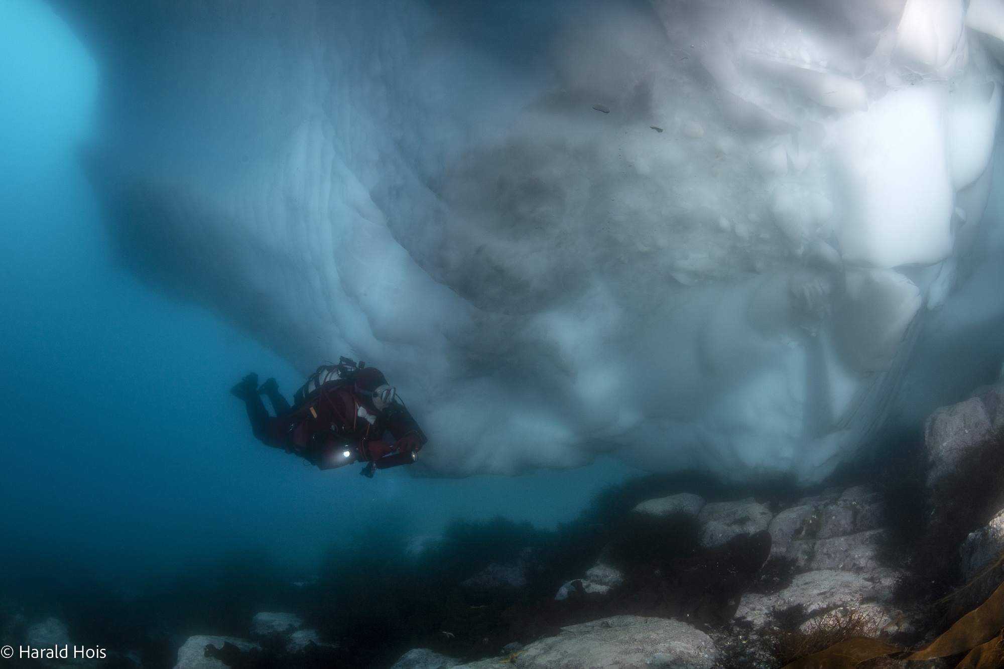 Antarctic