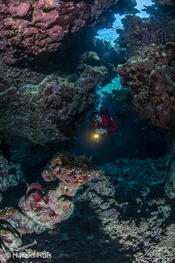 Red Sea