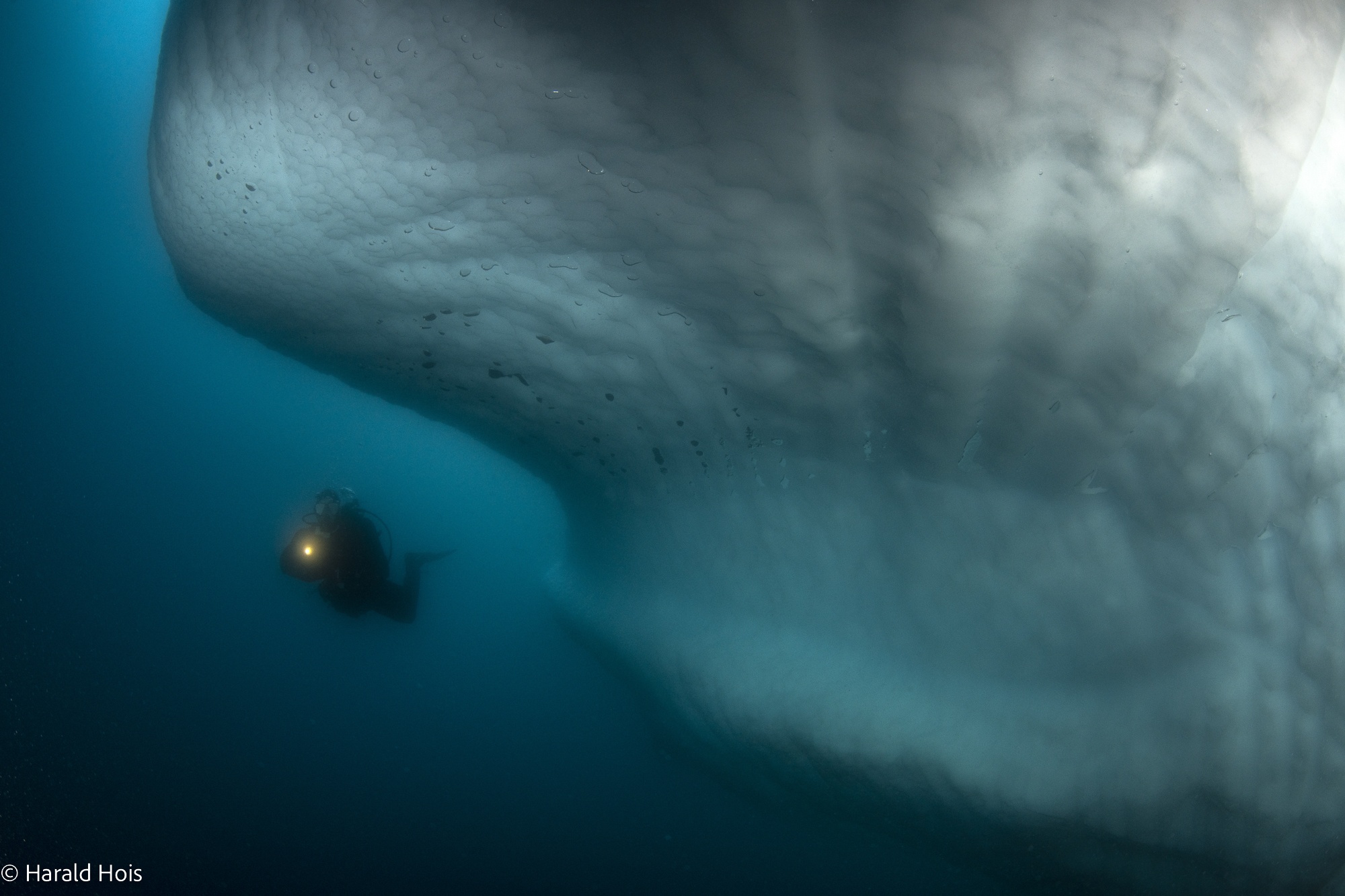 Antarctic