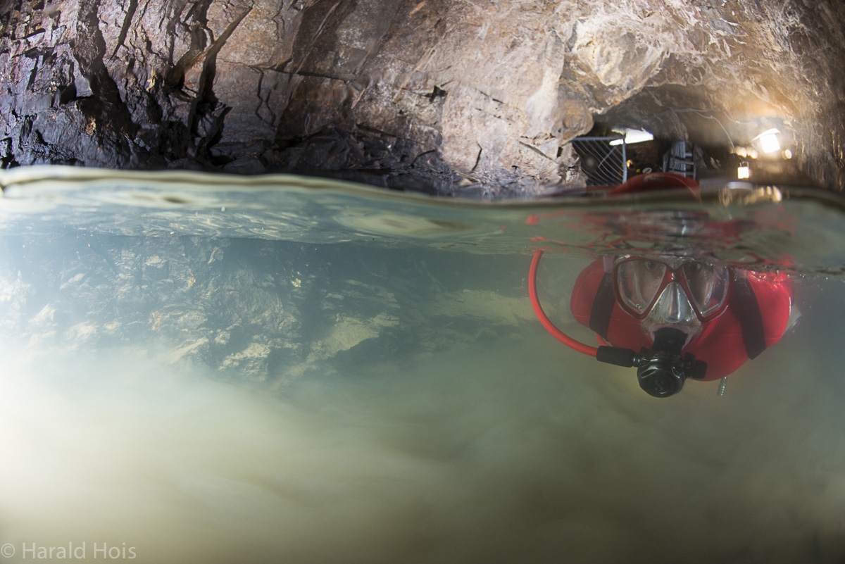 Vault Diving