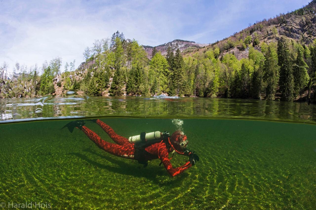 Wiesensee