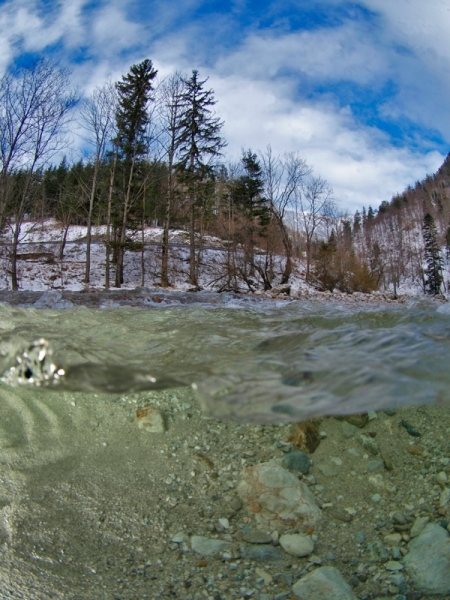 P1230444.jpg
