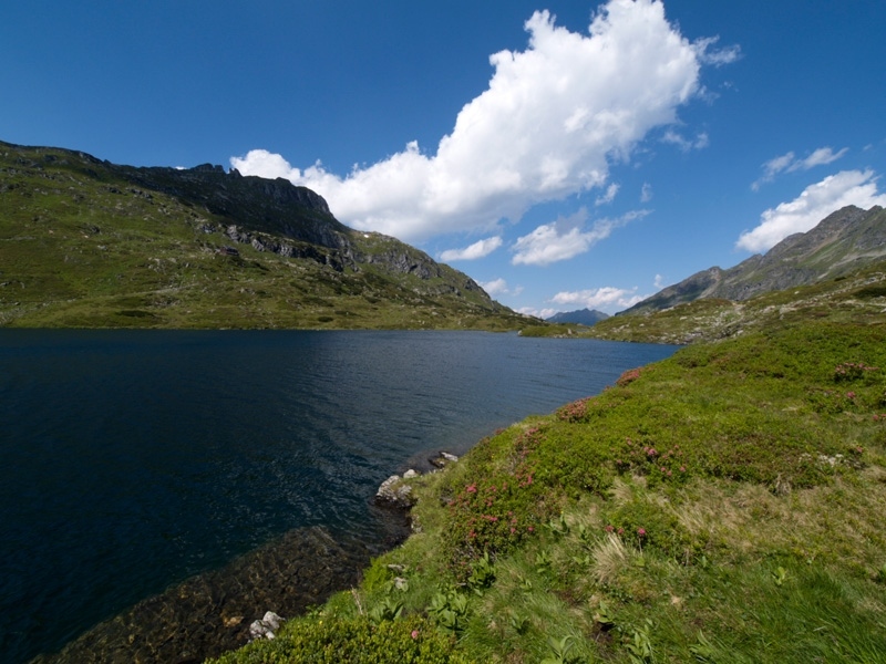 P7175180.jpg