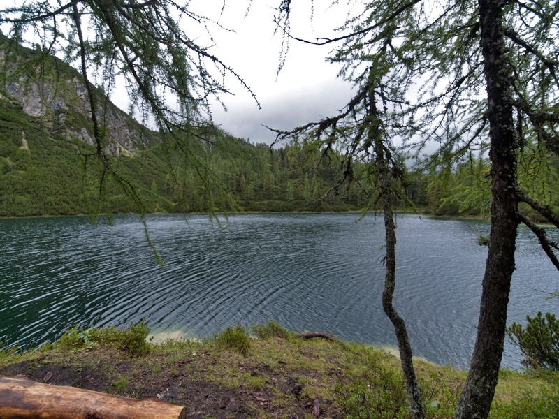 P8283669.jpg