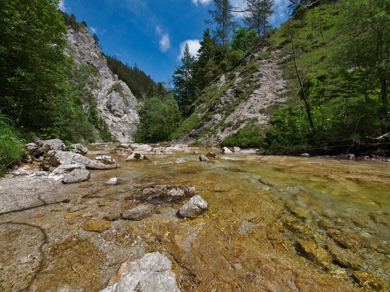 _6052788.jpg