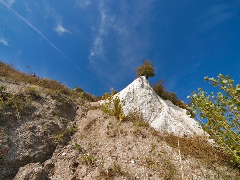 _A105527.jpg
