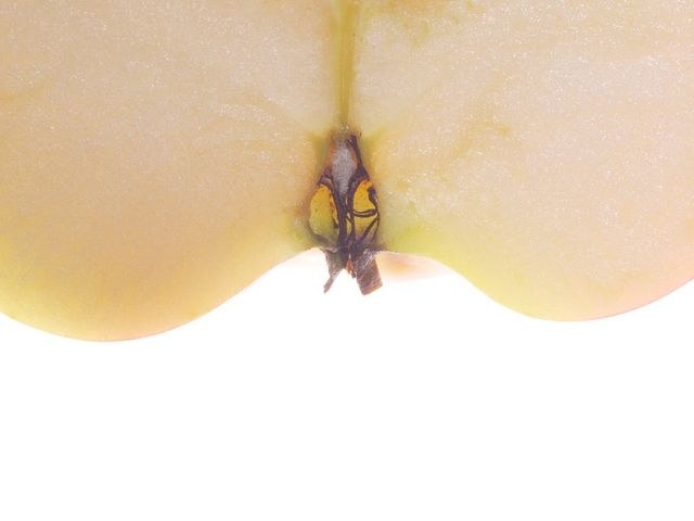 X1285766.jpg