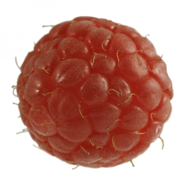 X5138673.jpg