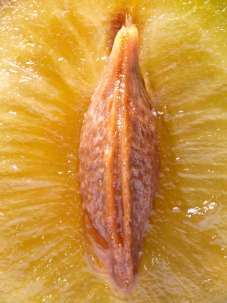 X9291269.jpg