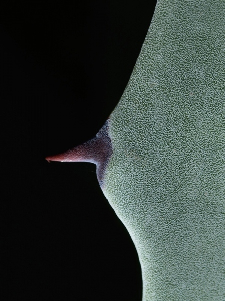 XA071283.jpg