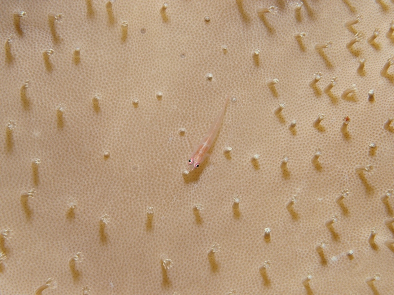 _B161840.jpg